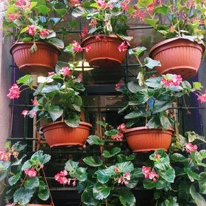 Meet your Posher, Giya